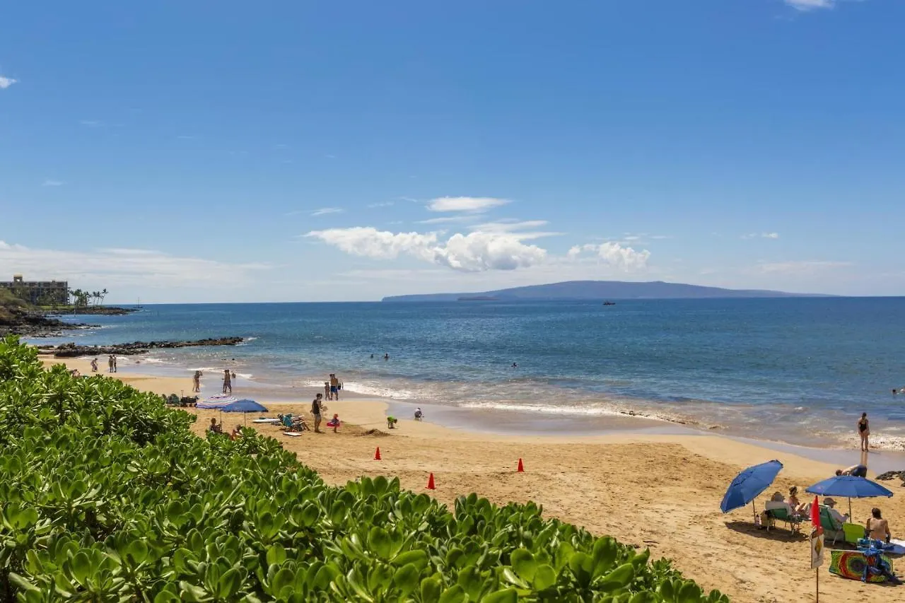 Maui Parkshore 204 Condo Wailea  Apartment